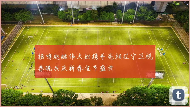 杨鸣赵继伟夫妇携手亮相辽宁卫视春晚共庆新春佳节盛典